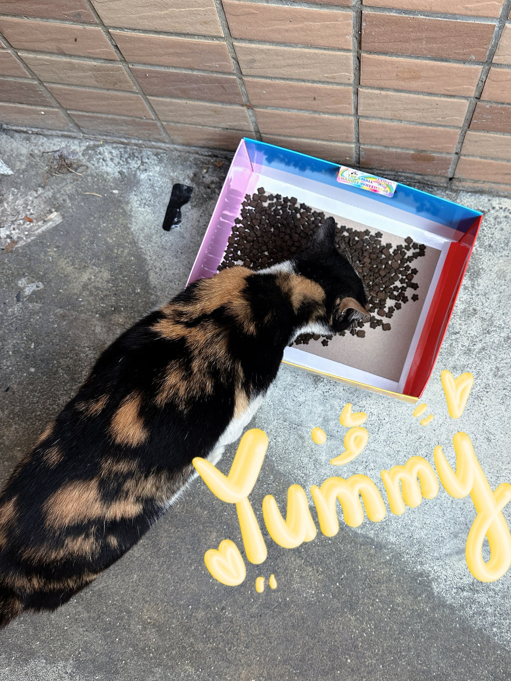 Thank You All for the Tips(Not a Physical Item)