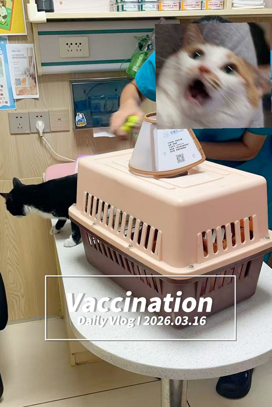 Thank You All for the Tips(Not a Physical Item)